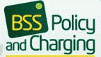 BSS Policy and Charging
