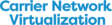 Carrier Network Virtualization